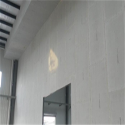 虎林新型建筑材料掺多种工业废渣的ALC|ACC|FPS模块板材轻质隔墙板